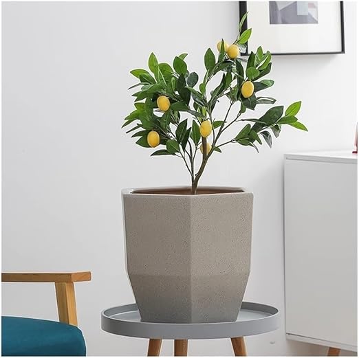 Standing Flower Pot 💐🖤🧿