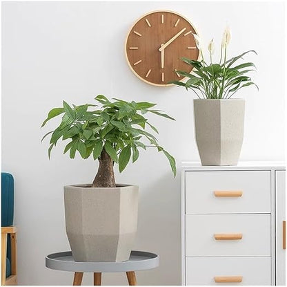 Standing Flower Pot 💐🖤🧿
